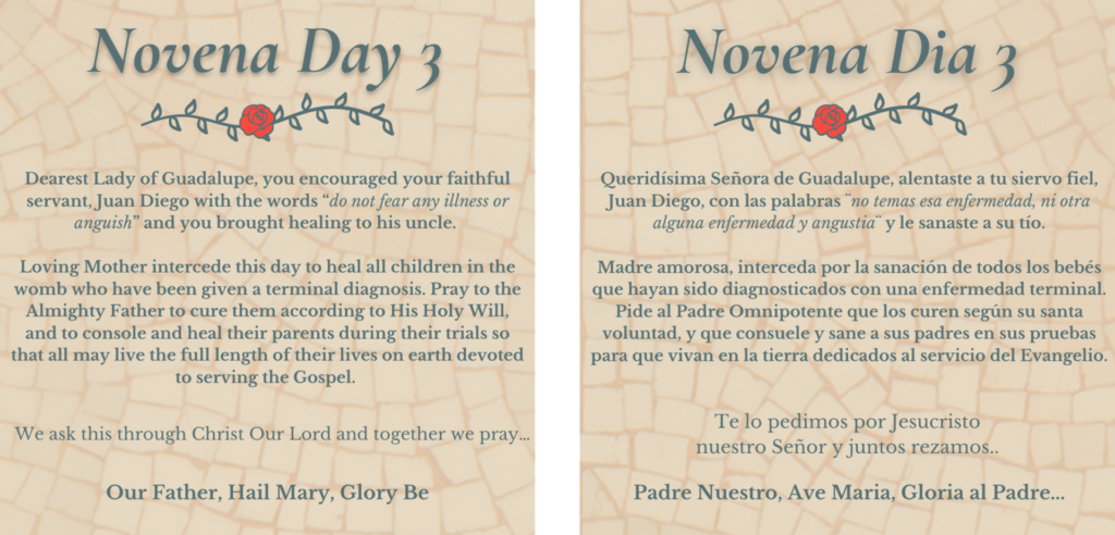 Novena – Our Fruitful Love